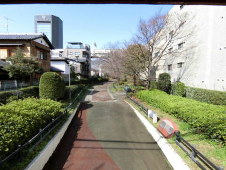 ライオンズマンション富岡八幡-5｜現地近隣の富岡八幡の裏側、八幡橋から見た緑道です。