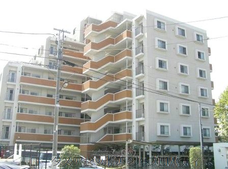 9階建て・総戸数53戸の規模感がそのまま伝わる外観です。ブラウン系と淡色を組み合わせた配色で、道路沿いでも圧迫感は抑えめ。建物前を通ると、車の音よりも風に揺れる街路樹の気配が先に届き、谷在家公園に隣接する立地らしい落ち着きが感じられます。