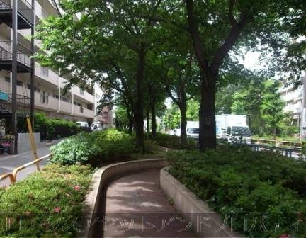 梅島ハイツ30625｜マンション前には緑道があります。結構なスケール感のある緑道で、夏は木陰で涼めるでしょう。
