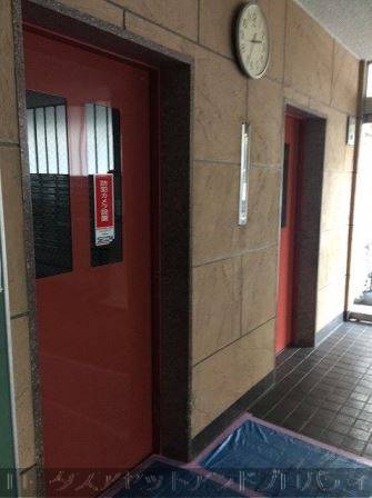 グリーンヒル新宿6067｜エレベータは２基あります。