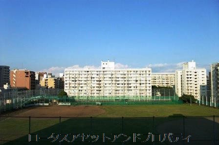 秀和亀戸天神橋レジデンス7071｜東側の亀戸野球・庭球場です。