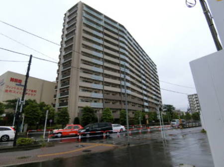 ラウドシティ金町アベニューは同じ開発地にスポーツクラブがあります。道路を隔ててタワーマンション（金町シティタワー）の開発地には商業棟が建設され、住所パワーが一層伸びることが期待される一角です。