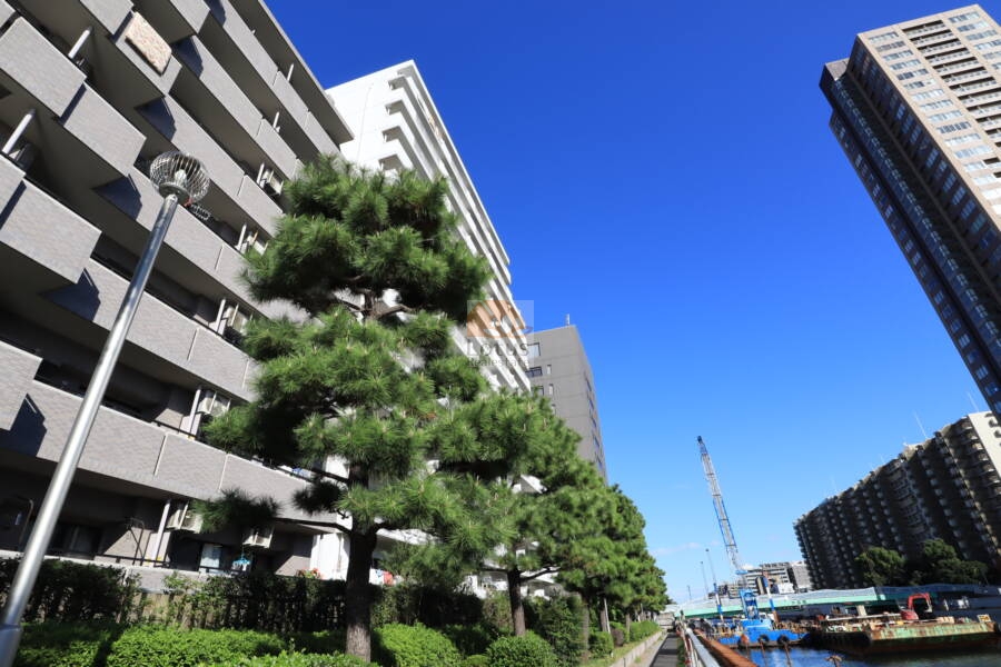 ヴェラハイツ元加賀外観3｜大型マンションですので風格を感じさせます。