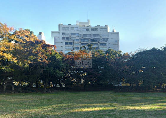 旧岩崎庭園側の緑地越しに建物を望む構図です。高層の白い外壁が木々の上にそびえ、敷地の高低差と豊かな植栽が確認できます。