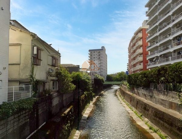 マンションヴィップ落合外観５｜北側には神田川が流れていて静かな住環境です。
