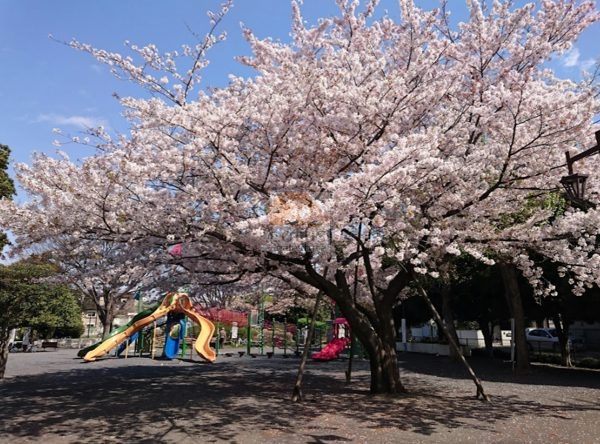 豊島区立千早フラワー公園