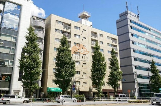 白山通りに面したエザンス白山は、直線的なフォルムと均整のとれた窓配置が特徴です。商業ビルと並ぶ立地にありながらも、ベージュ系の外壁が落ち着きを与えています。エザンス白山は、昭和56年築、8階建てのマンションです。