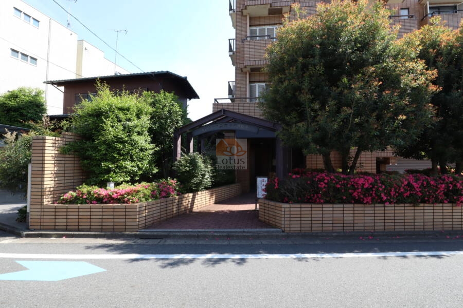 ハイラーク荻窪サウスヒルエントランス1｜総戸数10戸の非常にこじんまりしたマンションですが、エントランスの整備状況も非常に良好です。アーチが迎えてくれます。