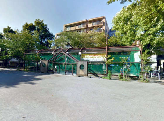 朝日クレス・パリオ新宿-北柏木公園｜区立北柏木公園が目の前にあります。キャッチボールや水遊びができます。春には桜も楽しめます。
