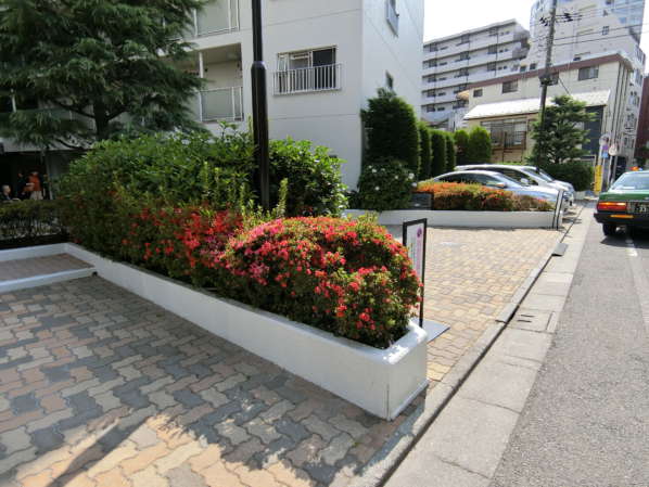 目白ガーデニア外観共用部 (2)｜目白ガーデニアの植栽も整備されていて、管理体制は良好であることが伺うことができます。