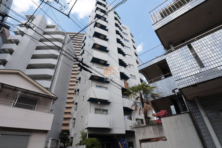ダイアパレス三ノ輪外観11｜ダイアパレス三ノ輪は昭和５４年築の１１階建てです。明治通り沿いです。日比谷線「三ノ輪」駅、常磐線「三河島」駅、都電荒川線「荒川一中前」駅が利用可です。