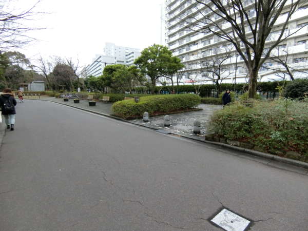 清新南ハイツアプローチ16｜土手を上ると清新町の一体となり、大規模団地が立地しています。