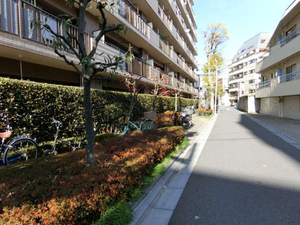ランドール根岸外観・共用部6｜植栽も整備されています。