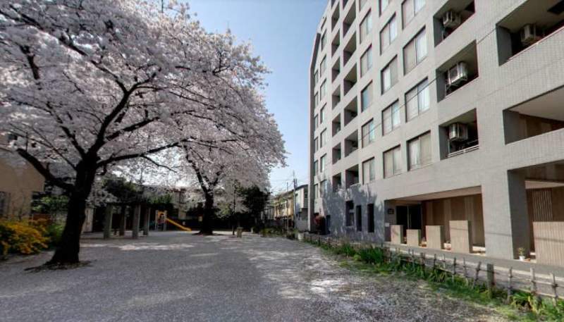 ルイシャトレ中野_すみれ公園４｜マンションの左側にはすみれ公園があります。春には桜がきれいです。