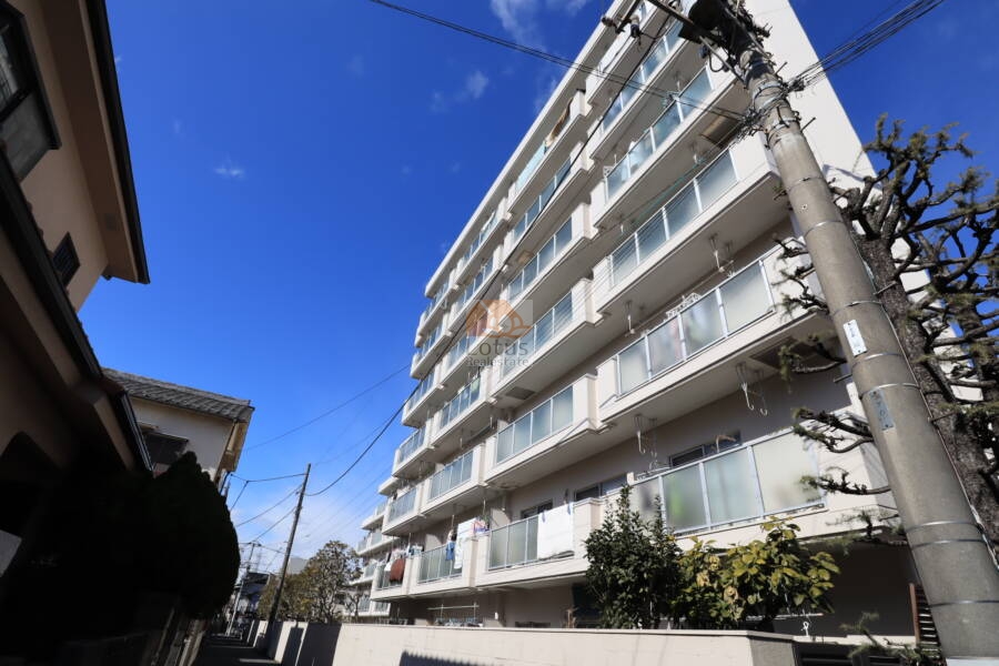アイビハイツ柴又外観2｜北東側は柴又街道前です。