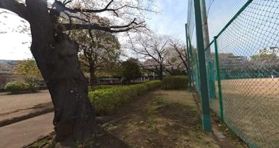 谷中公園