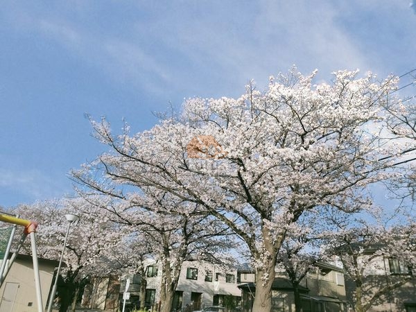 木根川中央公園｜徒歩2分に「木根川中央公園」があります。