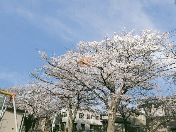 木根川中央公園