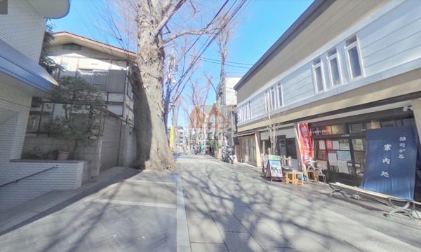 鬼子母神大門ケヤキ並木３｜エントランス前は鬼子母神表参道で、お向かいには古民家カフェがあります。