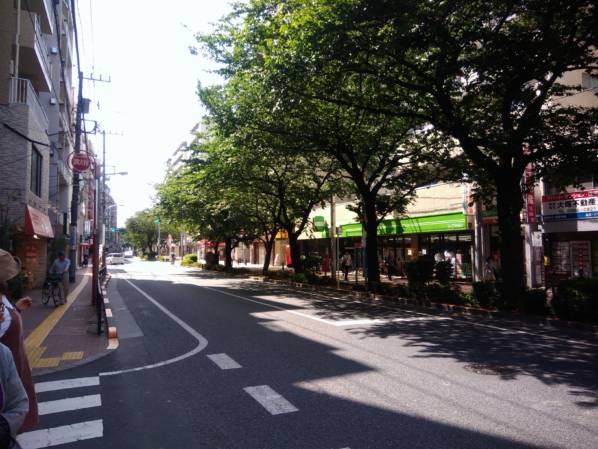 桜台駅前｜物件は千川通り沿いに立地しています。千川通りはご覧の通り綺麗な並木道です。撮影日は快晴で非常にきれいでした。この撮影は夏前でしたが、春には桜並木となります。