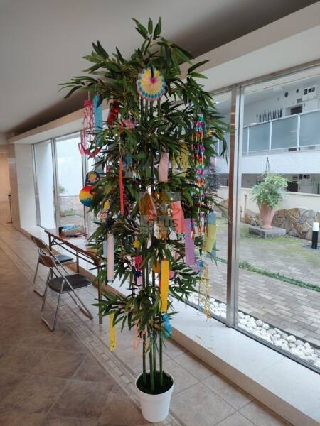 目白ガーデニア共用部2｜訪問した日は七夕で、七夕飾りがされてました。楽しそうですね。