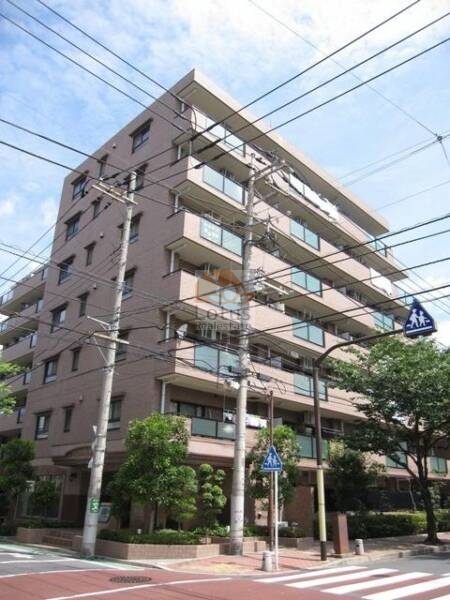 ライオンズマンション木根川中央公園外観｜ライオンズマンション木根川中央公園は平成10年築、7階建てのマンションです。全住戸が南東と南西向きに配置され、約7割が角住戸で採光や通風は良好です。