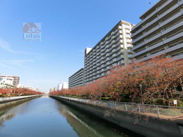 シティコープ千石外観共用部7｜西側は大横川の川辺となっています。川辺はテラスが整備されています。