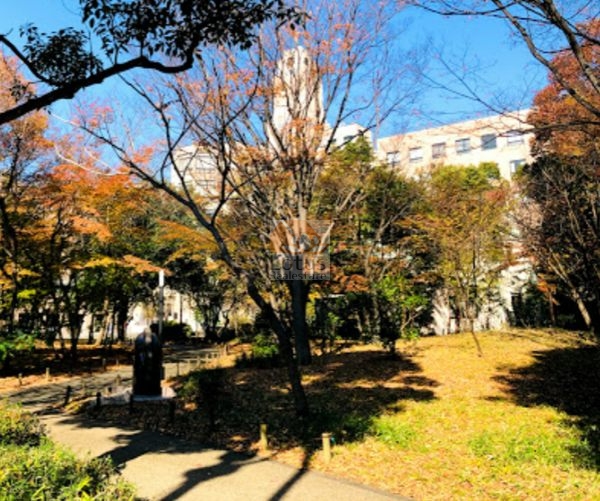 聖路加国際病院3｜徒歩6分に「聖路加国際病院」があります。