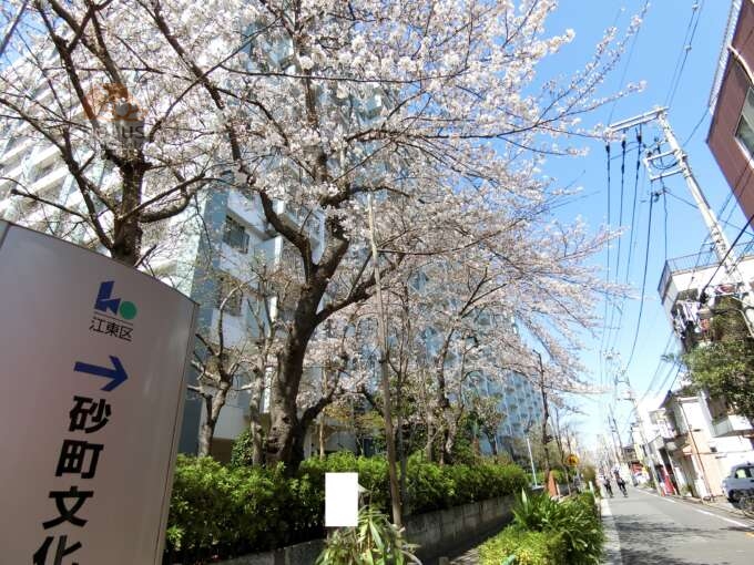 北砂四丁目住宅外観共用部25｜北砂四丁目住宅の北側のファサードです。
