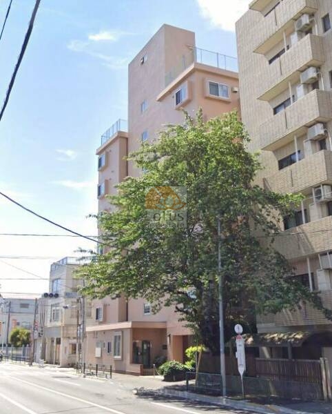 西荻ハイホーム外観４｜西荻ハイホームは井之頭通り沿いに立地します。