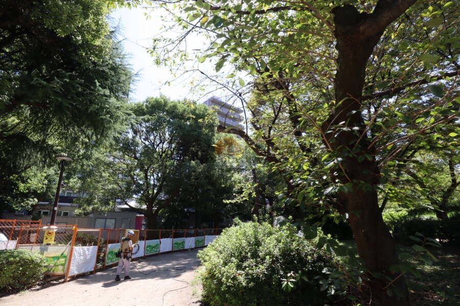 オリンポス隅田公園弐号館外観3