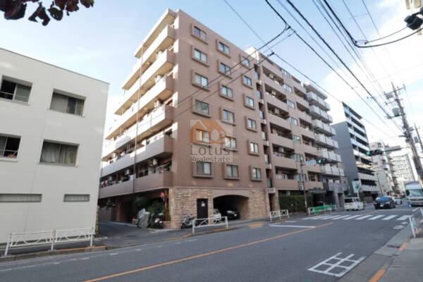 ダイアパレス八広花水木通りトリニティ外観22