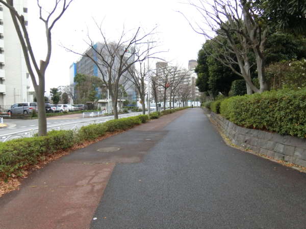 清新南ハイツアプローチ20｜団地全体が整備された街路になっています。