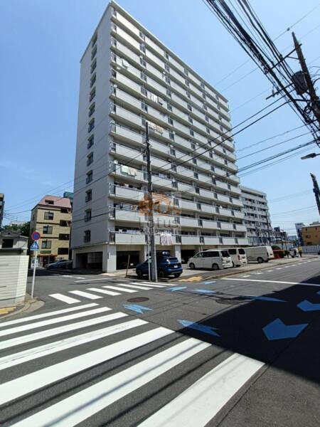 清澄ハイツ外観８｜清澄ハイツは、昭和47年築、を基調としたシンプルなデザインが際立つ14階建て。南向きのバルコニーが整然と並び、陽光に包まれた開放感ある暮らしが期待できます。