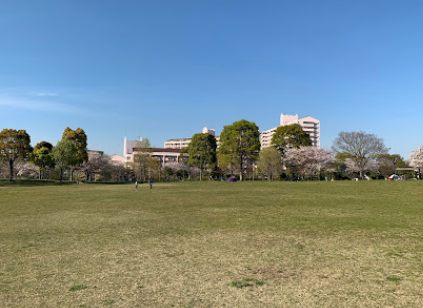 大島小松川公園｜徒歩2分に「大島小松川公園」があります。