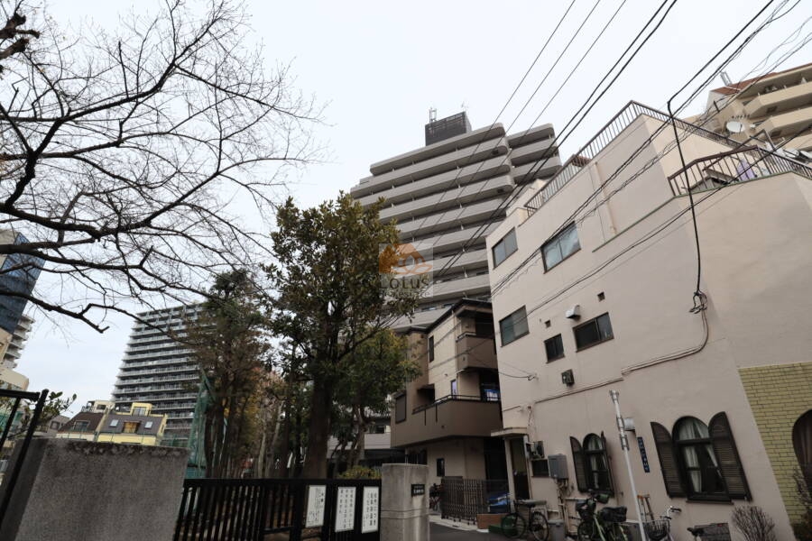 東急ドエルアルス三ノ輪外観(4)｜周辺には荒川区立第三峡田小学校が徒歩2分の距離にあります。学校までの通学時間が短く、安心してお子様を通学させることができます。