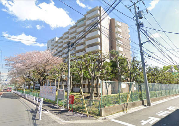 上高田四丁目団地１号棟外観６｜１号棟は通りに面しており、時期により桜の並木を楽しむこともできます。