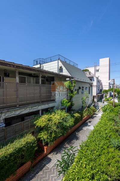 スターロワイヤル中野周辺｜南側は桃園川緑道（ももぞのがわりょくどう）があります。