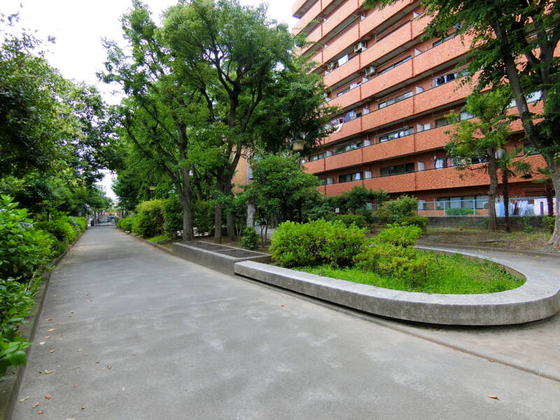 ライオンズマンション初台外観 (2)｜物件の南側は緑道公園です。