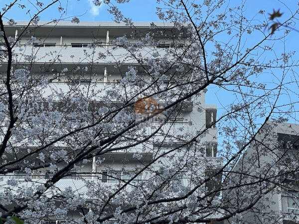 ライオンズマンション池袋外観６｜ライオンズマンション池袋は、東池袋公園前にある、地上11階建てのマンションです。