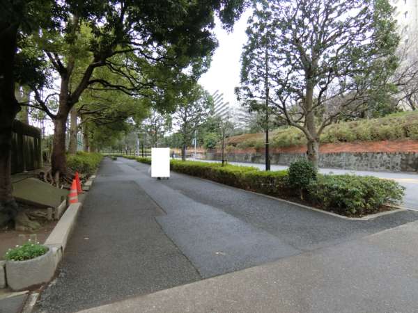清新南ハイツアプローチ11｜公園を横断すると、江戸川区清新町の東側外周部に到達します。