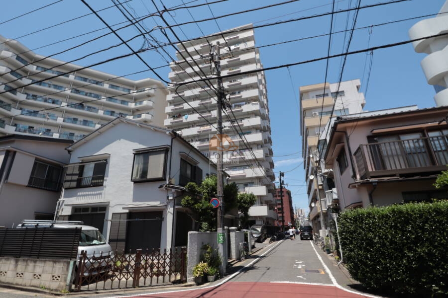 桜台武蔵野マンション外観11｜桜台武蔵野マンションは昭和４４年築、１５階建てのマンションです。南側には駐車場とその先には戸建てがあり日当たり良好です。