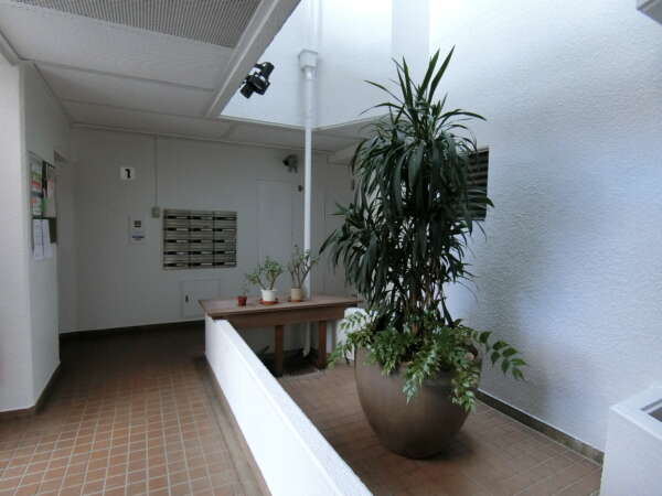 モナークマンション松庵共用部3｜おおきな植木がお出迎えです。エントランスを入った共用部は非常にコンパクトでしたが、吹き抜け状となっていて、海保いう敵ではありました。