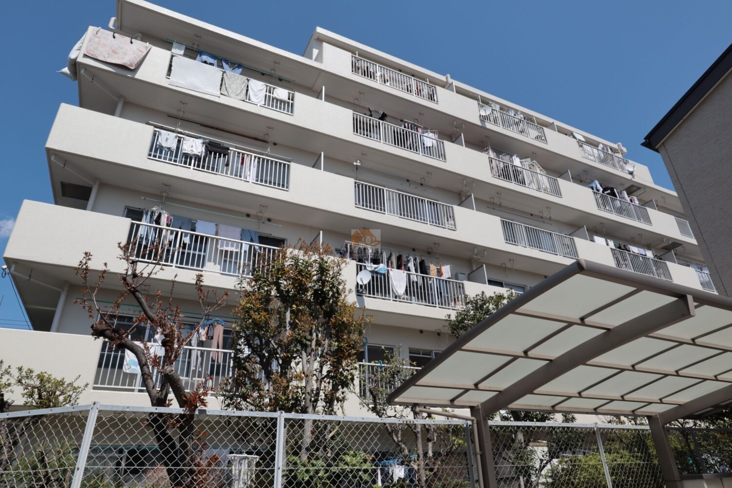 白い外壁と連続するバルコニーが、下町らしい穏やかな住宅街の空気に溶け込んでいます。洗濯物が並ぶ様子から、日差しをしっかり受けて暮らしがまわっている雰囲気を感じています。敷地前の植栽もほどよく整っていて、日常の生活動線が自然と想像できる一枚です。