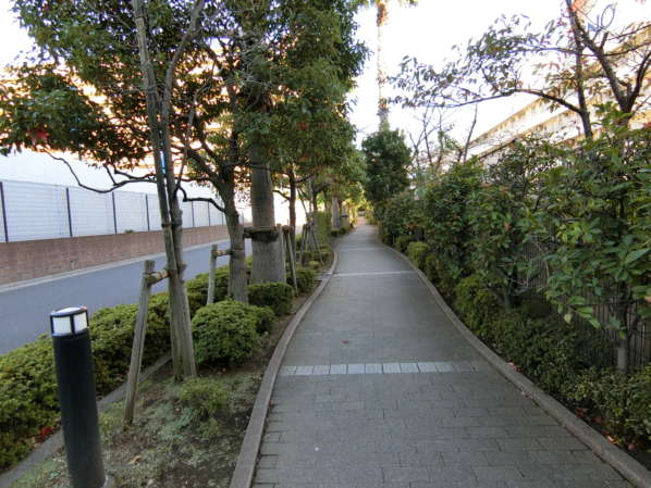 ルネグランマリーナ潮見外観・共用部18｜アプローチには様々なカタチの草木が配されており、来館した人々のこころを和ませてくれます。