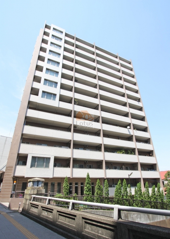 グローリオ板橋本町の外観。見上げると、総戸数102戸のビッグコミュニティらしいスケール感が伝わってきます。川沿いの緑と調和しながら、高層まで並ぶバルコニーが「都会の暮らし」を実感させてくれる外観です。グローリオ板橋本町は、平成18年築、13階建てのマンションです。
