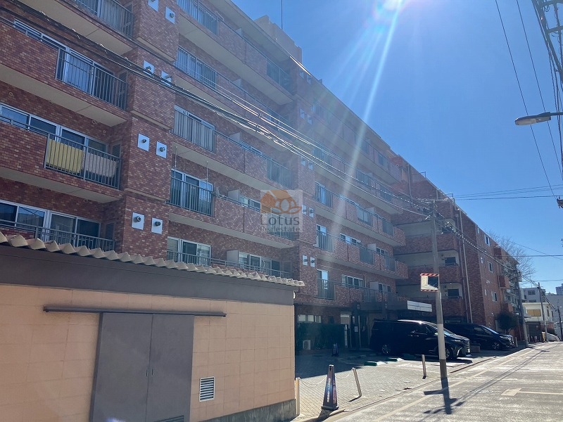 レンガ調のタイル外壁が印象的な中層マンションです。均整の取れた南向き中心の住戸配置がうかがえます。建物前面は舗装された歩道に面し、車道との間には街灯や電柱が整備されています。信濃町ハイムは、昭和５３年築、９階建てのマンションです。