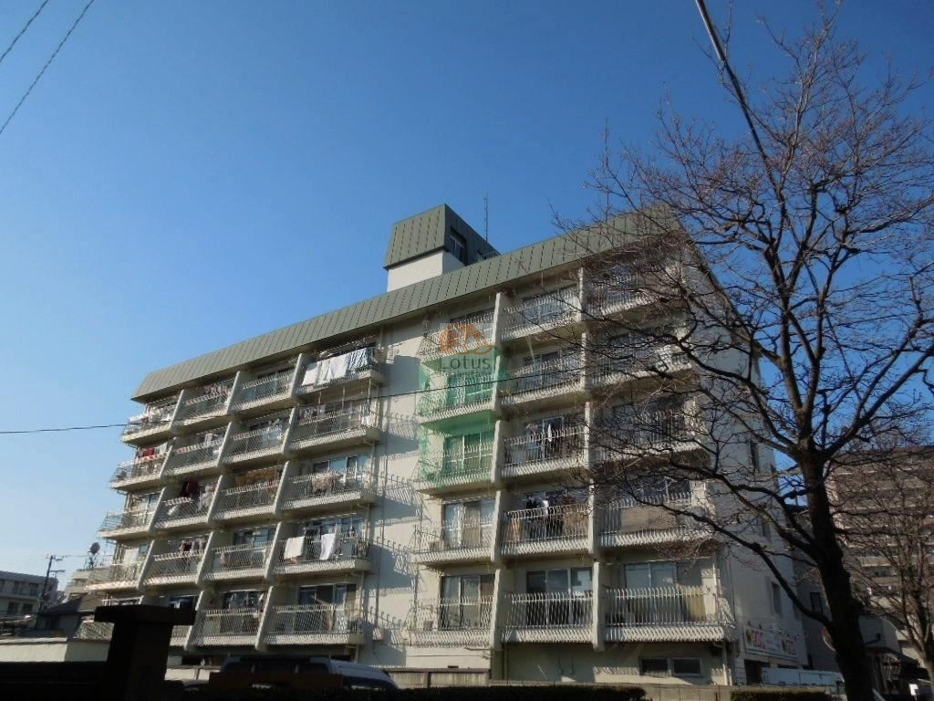 金町コーポは昭和４９年築、６階建てのマンションです。ベランダがズラッと並んでいて、洗濯物が干してある光景がこの町の日常って感じです。晴れた日には、青空によく映えるマンションです。