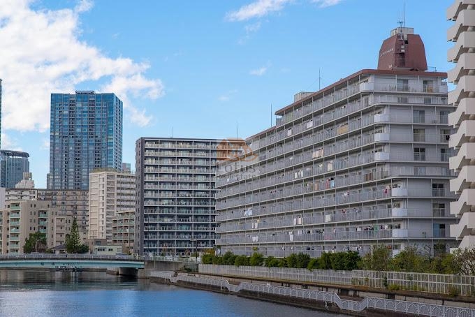 ニューライフマンション木場外観７｜ニューライフマンション木場は南側が豊洲運河に面した立地です。