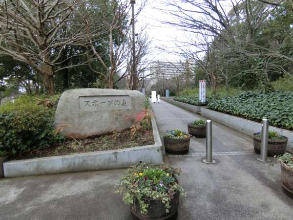 清新南ハイツアプローチ8｜総合レクリエーション公園内にあるスポーツの森・虹の広場を横断すると時間を短縮して近づくことができます。